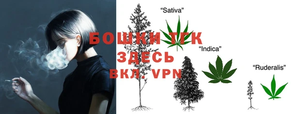 хмурый Балабаново